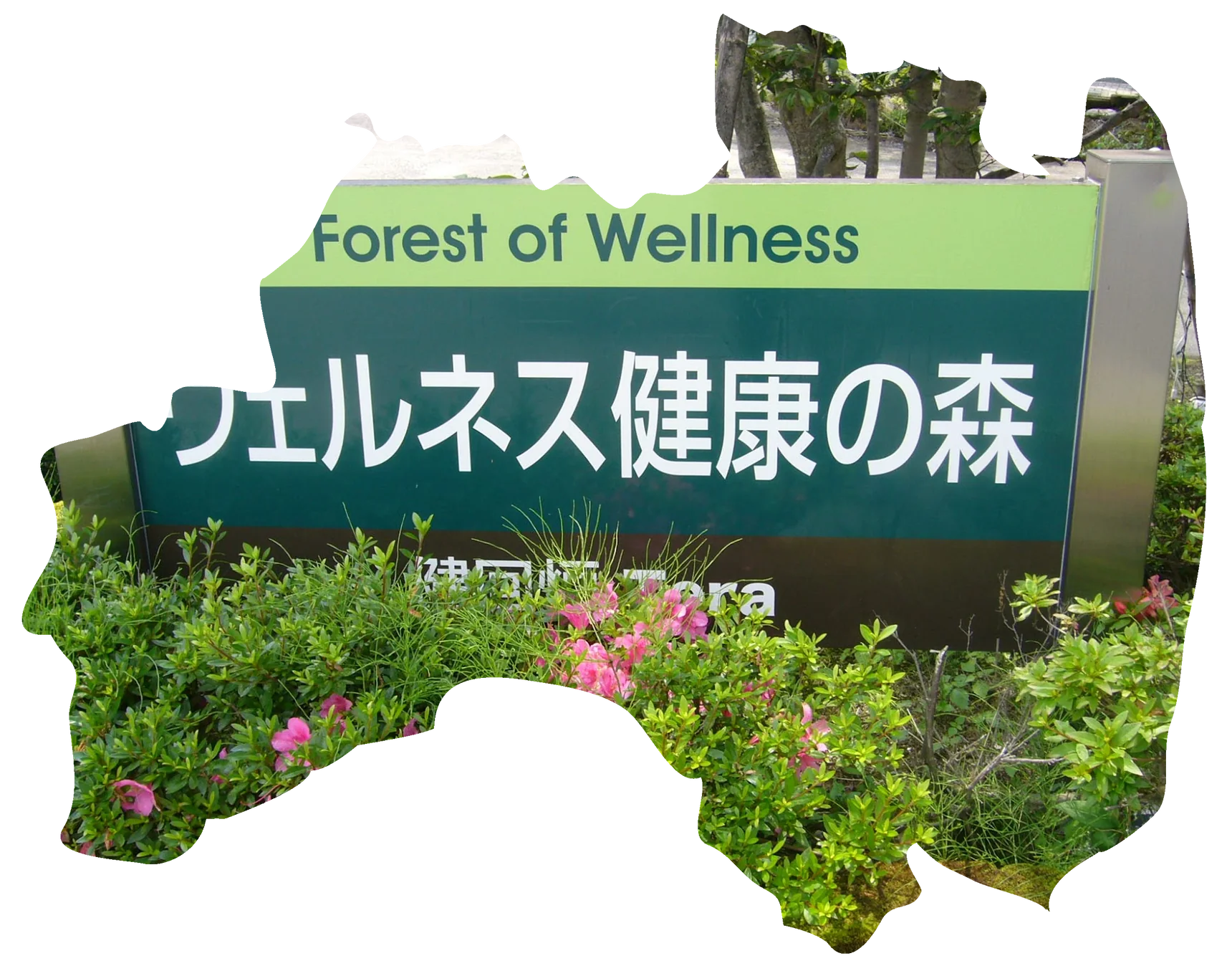ウェルネス健康の森の看板