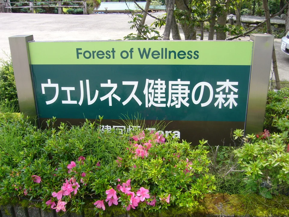 ウェルネス健康の森